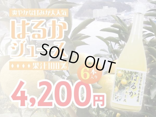 画像1: 爽やかな甘さが魅力！はるか100%！完熟みかんジュース　720ml×6本入 (1)