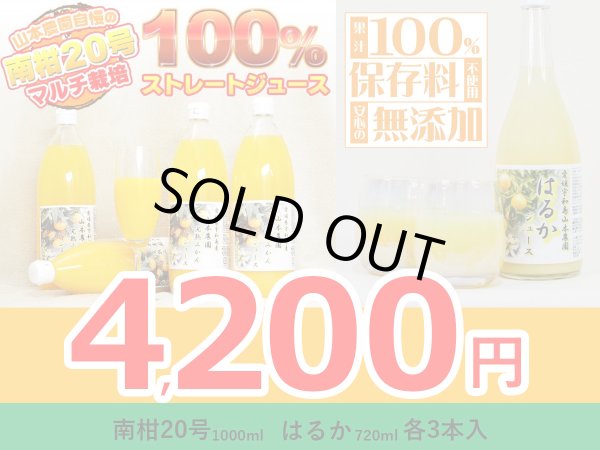 画像1: 「南柑20号 3本」「はるか 3本」100%！完熟みかんジュース 合計6本詰め合わせ (1)