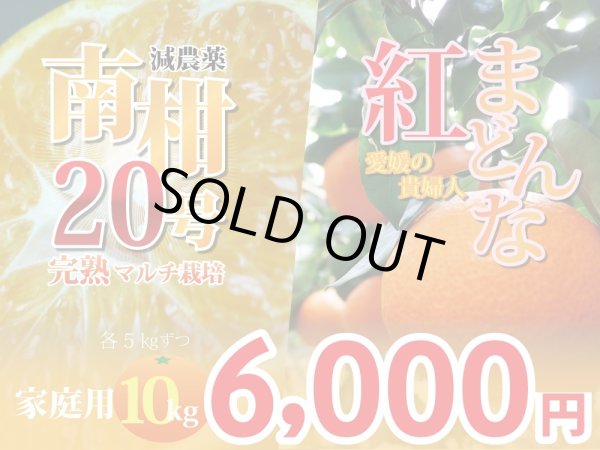 画像1: 【豪華詰め合わせ】愛媛みかん　完熟マルチ　南柑20号＆紅まどんな　家庭用10kg (1)