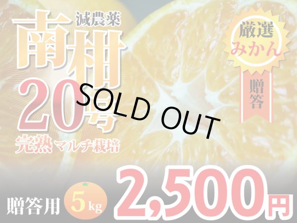 画像1: 愛媛みかん　マルチ栽培　南柑20号　贈答用5kg (1)