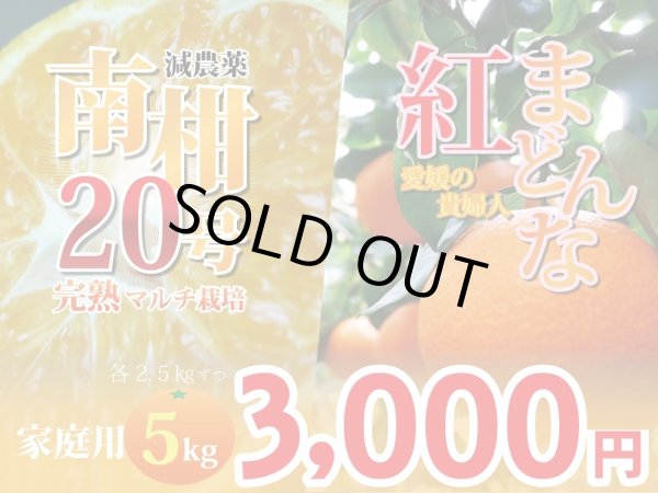 画像1: 【豪華詰め合わせ】愛媛みかん　完熟マルチ　南柑20号＆紅まどんな　家庭用5kg (1)