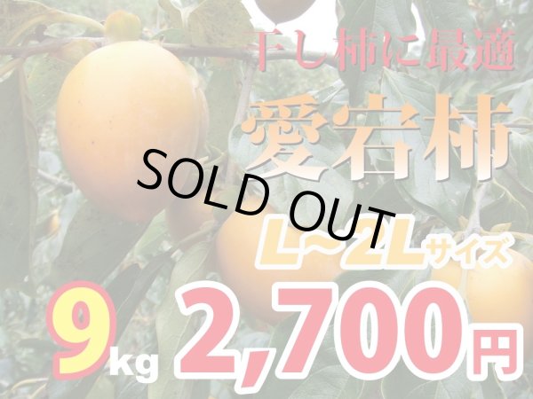 画像1: 愛宕柿　9kg(L〜2Ｌ)約32玉　干し柿にどうぞ！ (1)