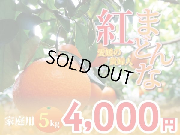 画像1: 愛媛みかん　紅まどんな　家庭用5kg (1)