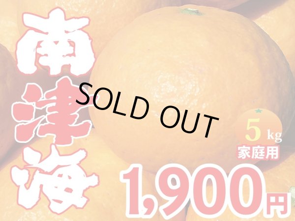 画像1: 愛媛みかん　南津海（なつみ）　家庭用5kg (1)