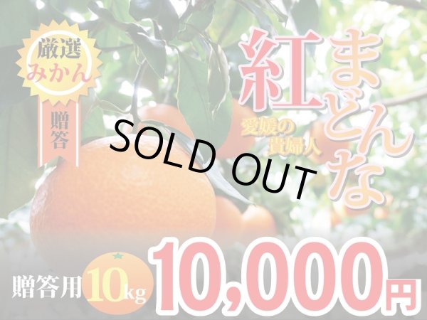 画像1: 愛媛みかん　紅まどんな　贈答用10kg (1)