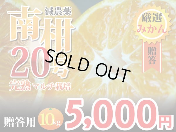 画像1: 愛媛みかん　マルチ栽培　南柑20号　贈答用10kg (1)
