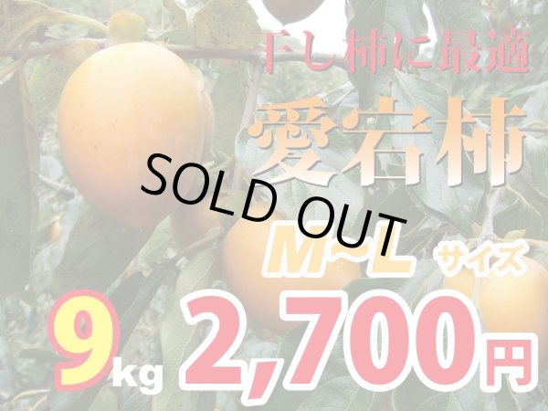 画像1: 愛宕柿　9kg(M〜Ｌ)約38玉　干し柿にどうぞ！ (1)