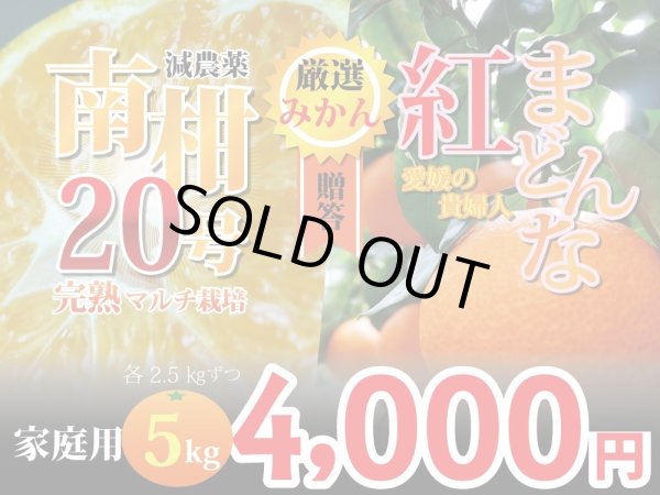 画像1: 【豪華詰め合わせ】愛媛みかん　完熟マルチ　南柑20号＆紅まどんな　贈答用5kg (1)