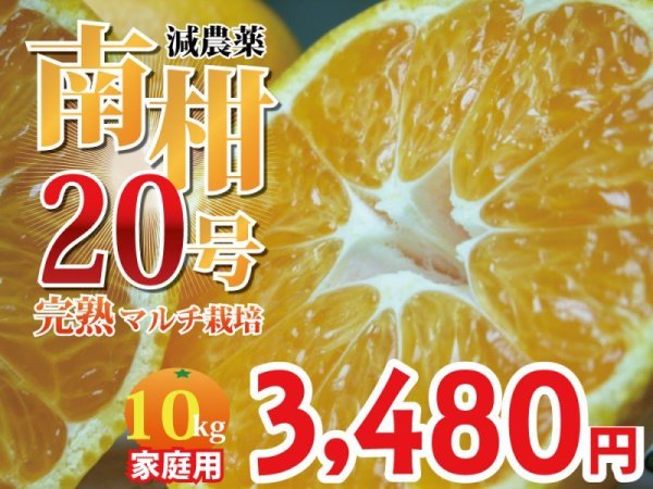 画像1: 【家で食べるならこれ！】愛媛みかん　マルチ栽培　南柑20号　家庭用10kg (1)