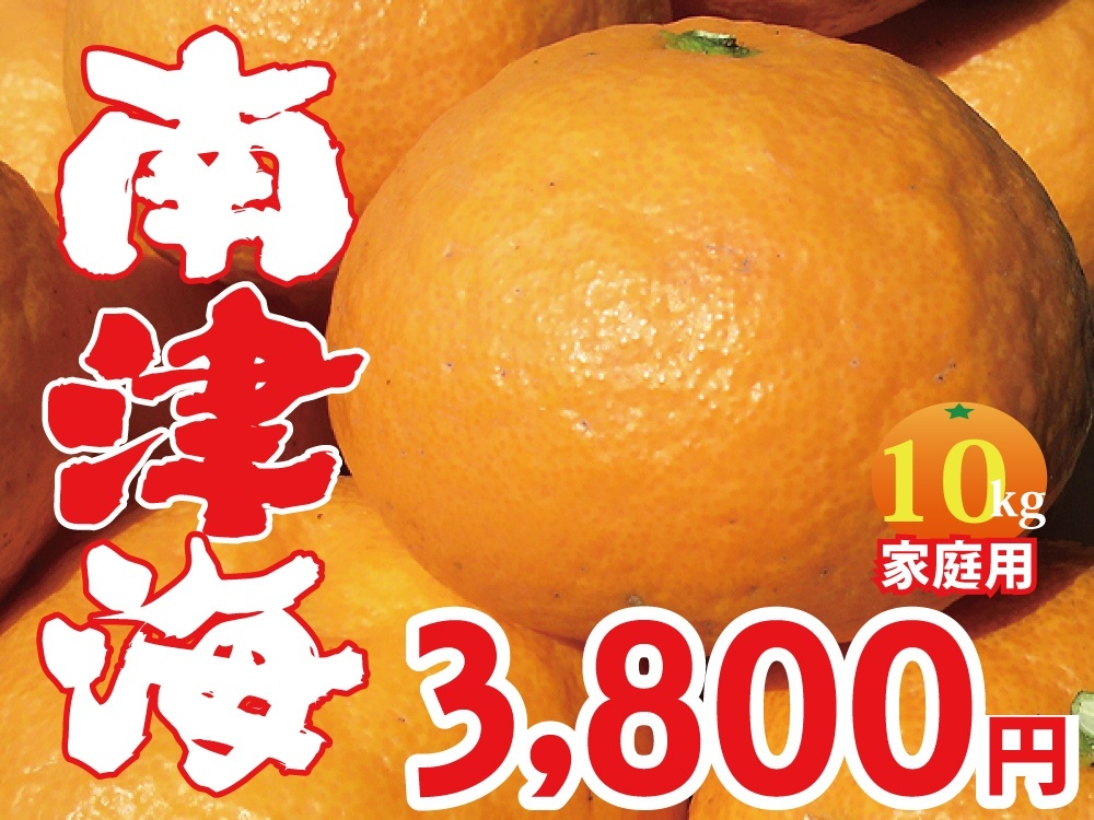 愛媛みかん　南津海（なつみ）　家庭用10kg