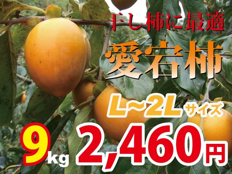 愛宕柿　9kg(L〜2Ｌ)約32玉　干し柿にどうぞ！
