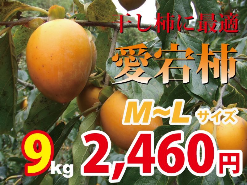 愛宕柿　9kg(M〜Ｌ)約38玉　干し柿にどうぞ！