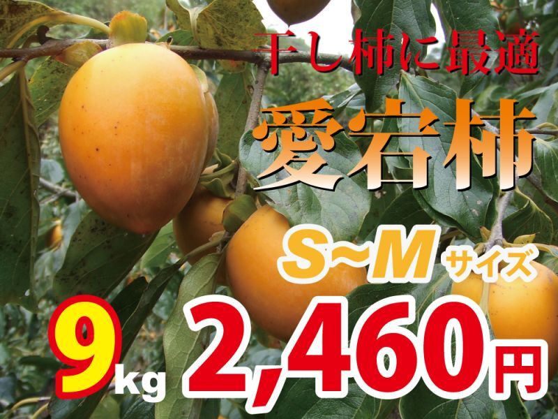 愛宕柿　9kg(S〜M)約45玉　干し柿にどうぞ！