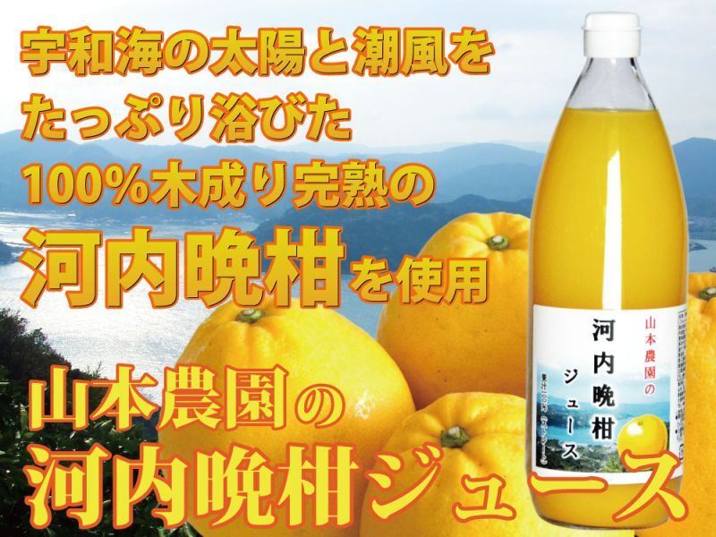 河内晩柑ジュース 12本(1ℓ) - ソフトドリンク