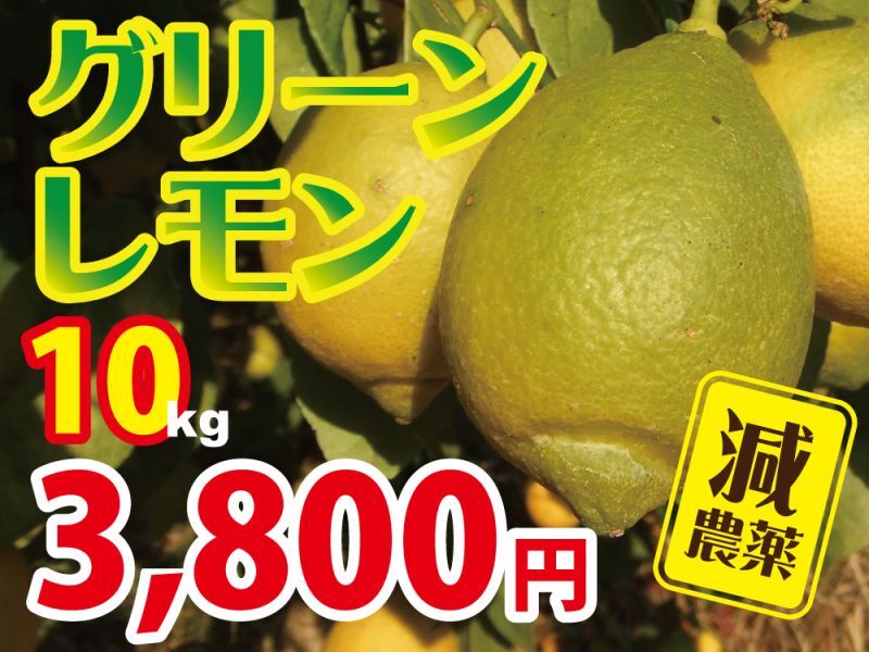 減農薬国産レモン　グリーンレモン　家庭用10kg（75玉程度）