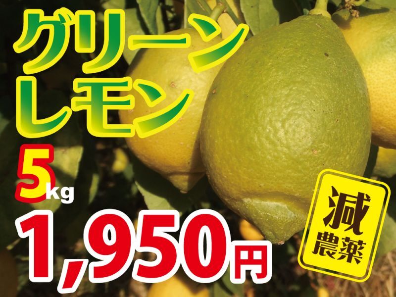 減農薬国産レモン　グリーンレモン　家庭用5kg（35玉程度）